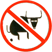 No Bullshit Warranty